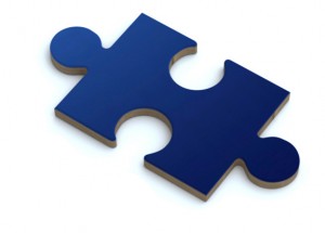 Puzzle Piece from DSS Logo