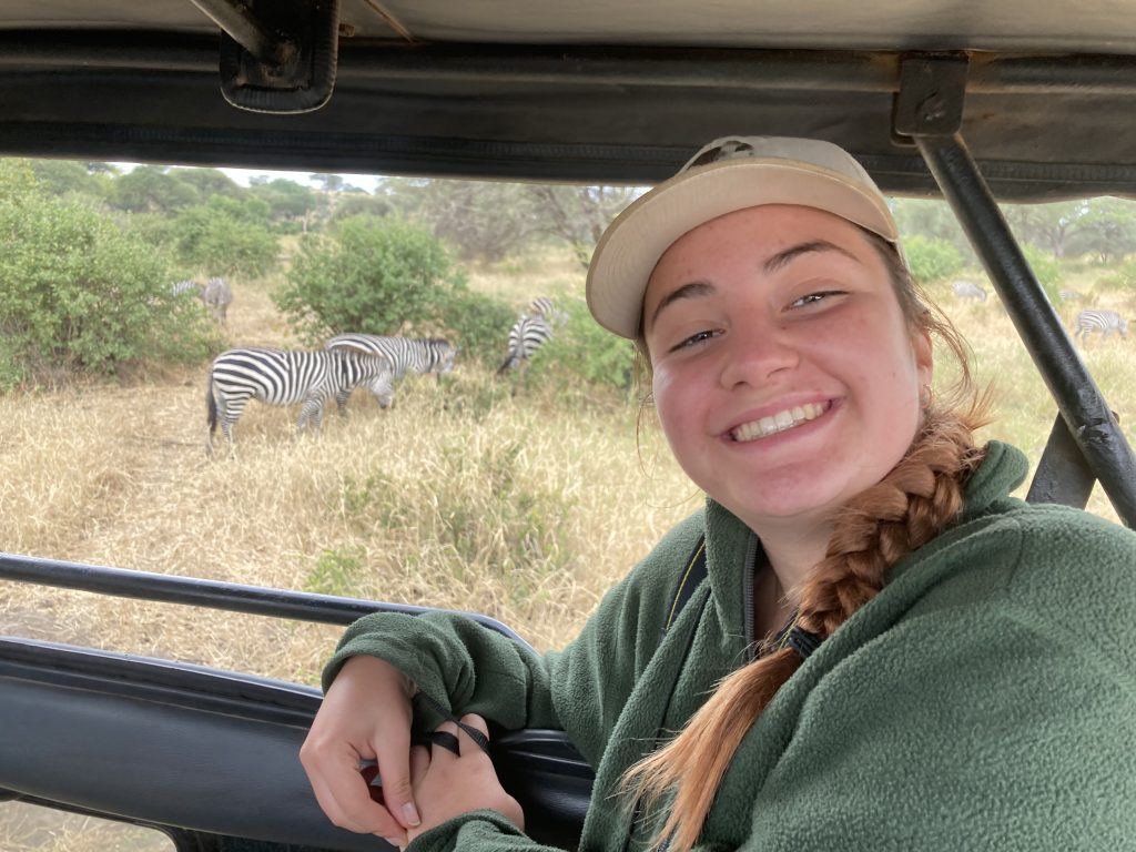 Young female student in a car looking out a t zebras on the African Serengeti.