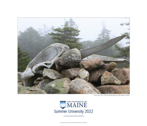 Summer University 2022 poster depicting a photo of a whale skull on Isle au Haut