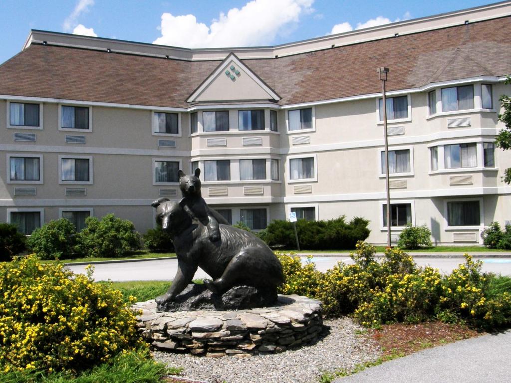 Photo of Black Bear Inn in Orono Maine