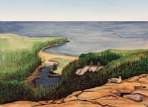 Summer 2025 poster art by Val Ireland depicting a few of Sand Beach from Beehive Trail in Acadia National Park.