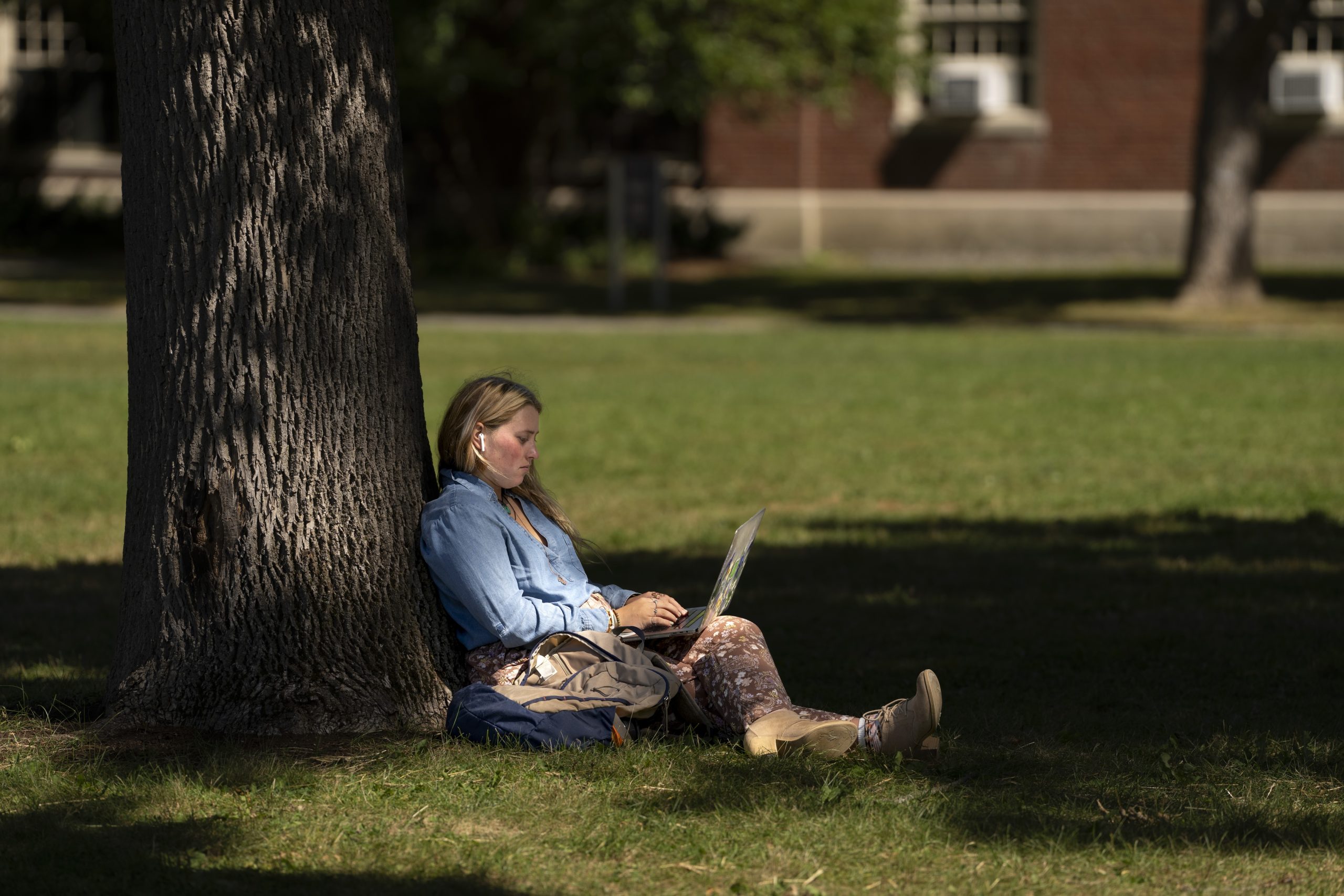 Student looking at a laptop while sitting under a tree.