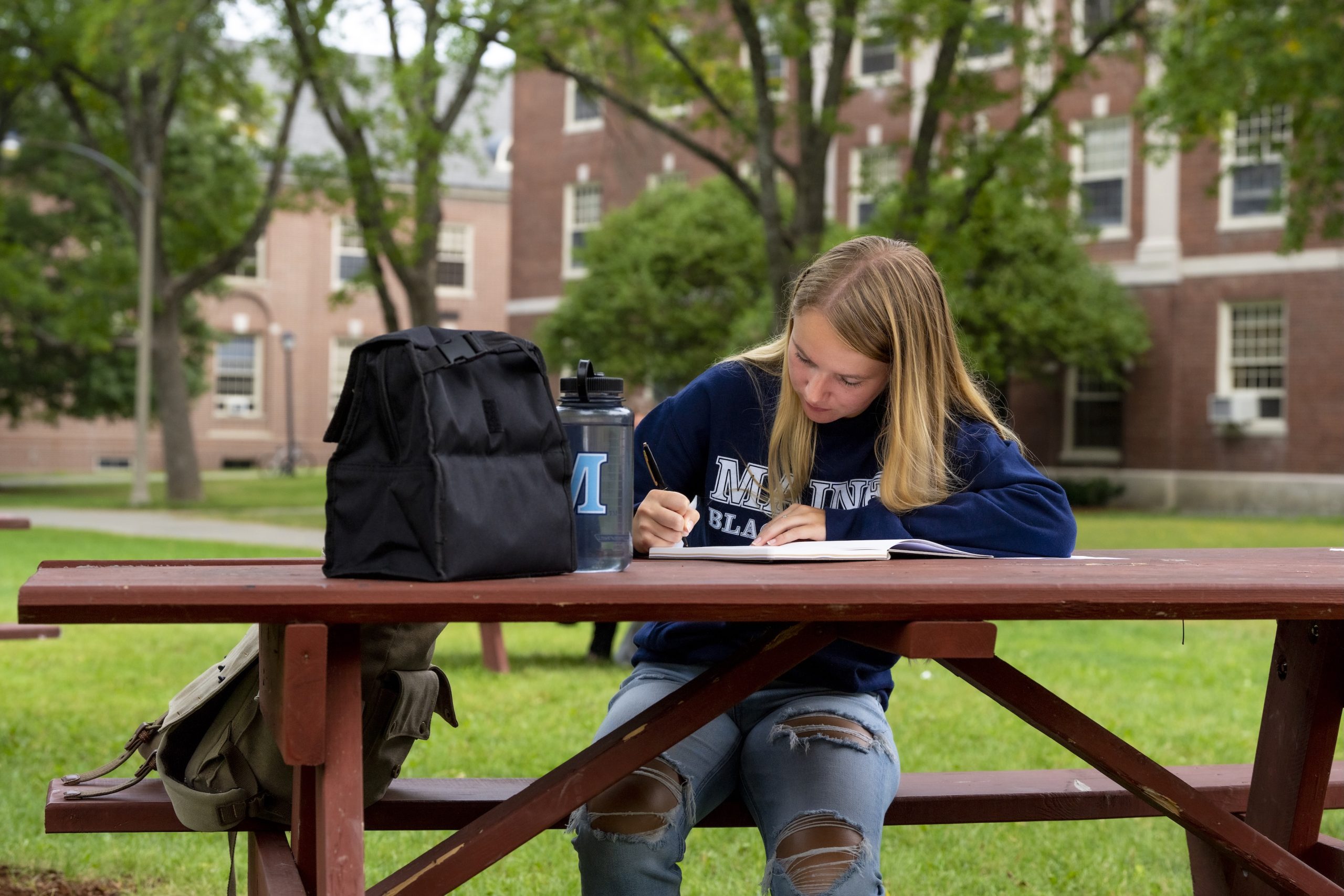 Student studying