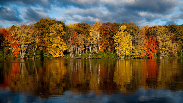 Fall in Orono by Reizer Photography