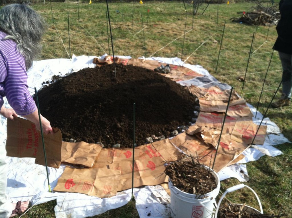 people working on permaculture plots at Terrell House