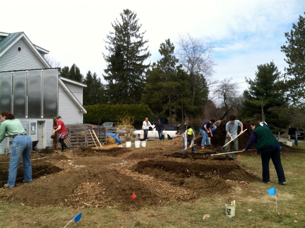 people working on permaculture plots at Terrell House