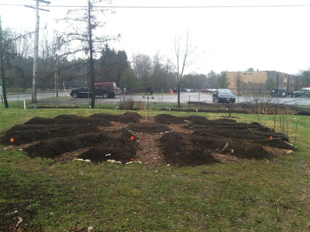 permaculture garden at terrell house