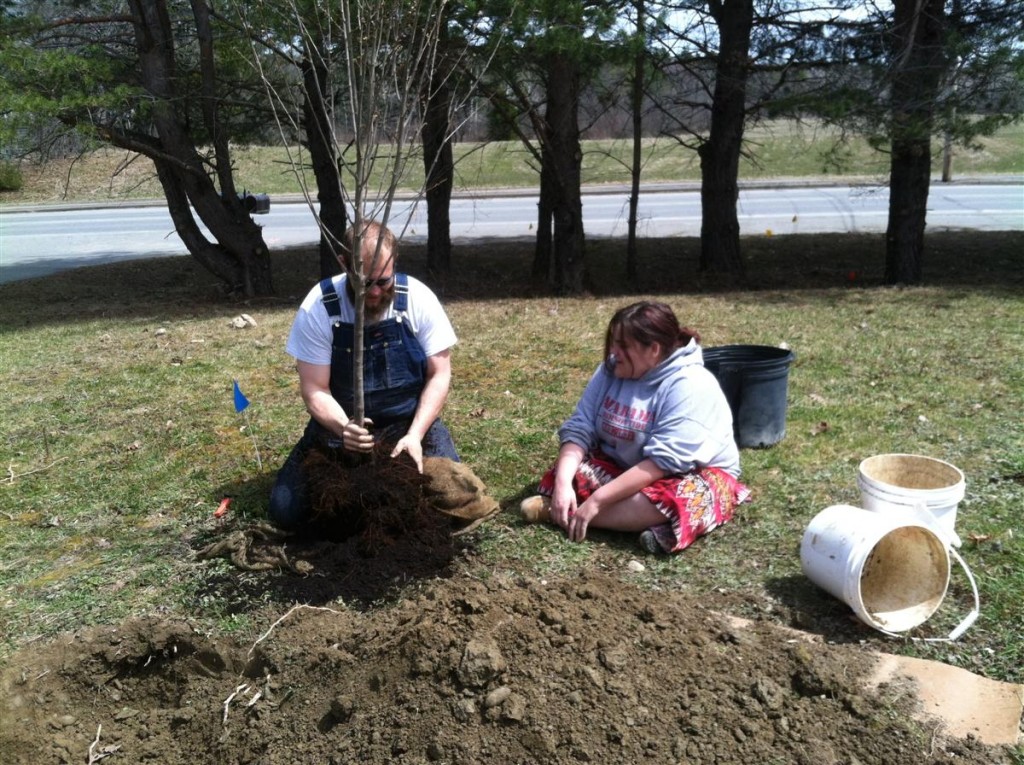 two people planting a tree