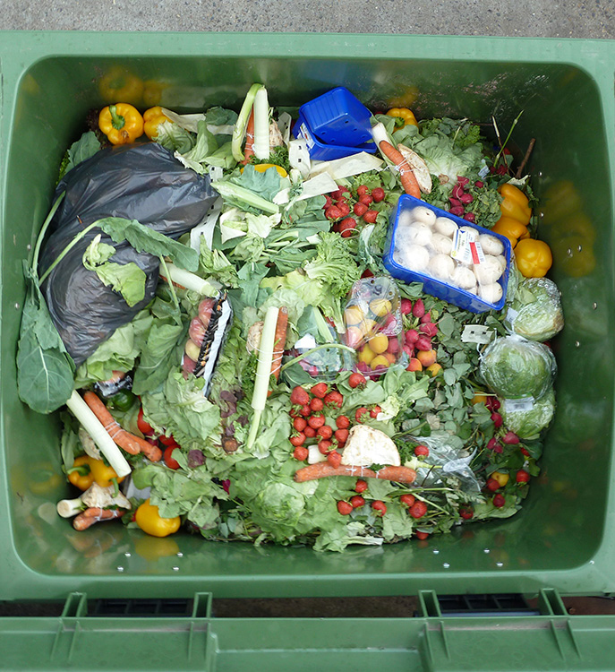 Food Waste and Solutions for Combating the Crisis - Office of  Sustainability - University of Maine