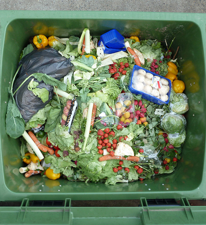 Gas Treatment as a Food Preservation Technique