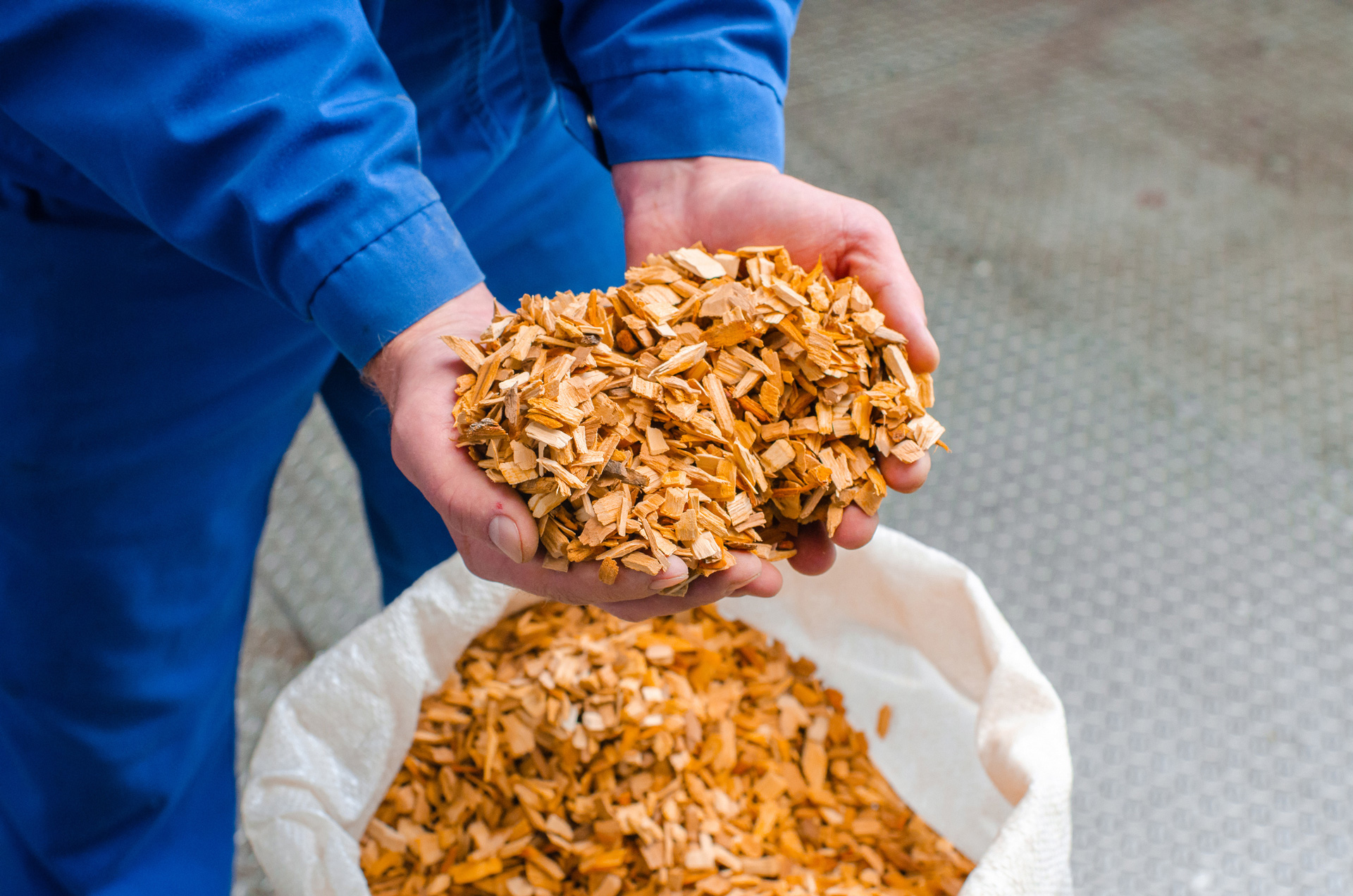 person holding a handful of sawdust