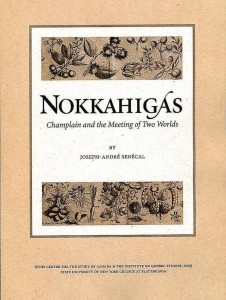 Nokkahigas book cover