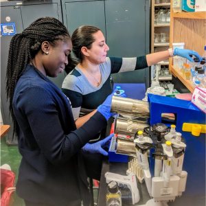 PhD candidates, Caitlin Wiafe-Kwakye and Atefeh Rajaei performing microbiology research at the bench in the Neely laboratory. 