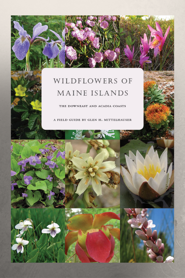 image of the cover of Wildflowers of Maine Islands