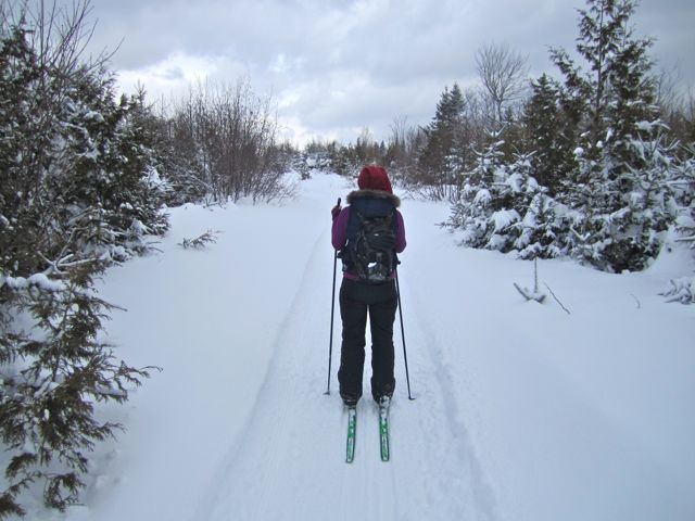 Cross country skiing in Aroostook county