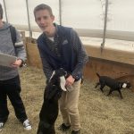 Friends with goats; Tide Mill Creamery