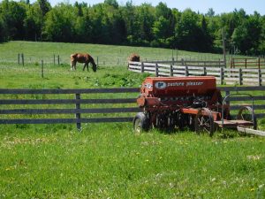 Amish Farm- Fort Fairfield
