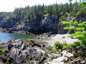 Quoddy Head state park shore trail