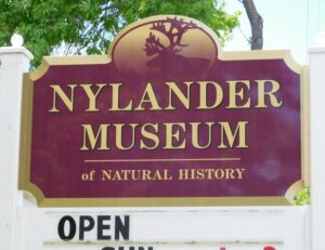 nylander sign