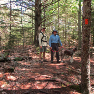 walking in the woods with Harry