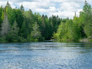 Western Maine Waters and Forests