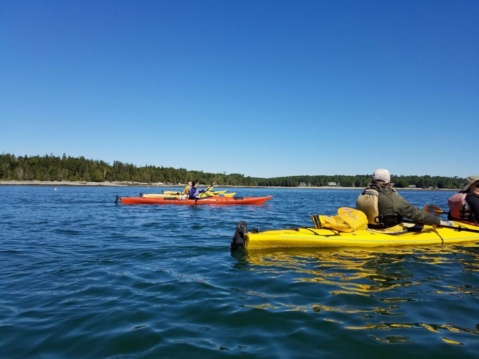 Hancock Activities Undiscovered Maine University of Maine