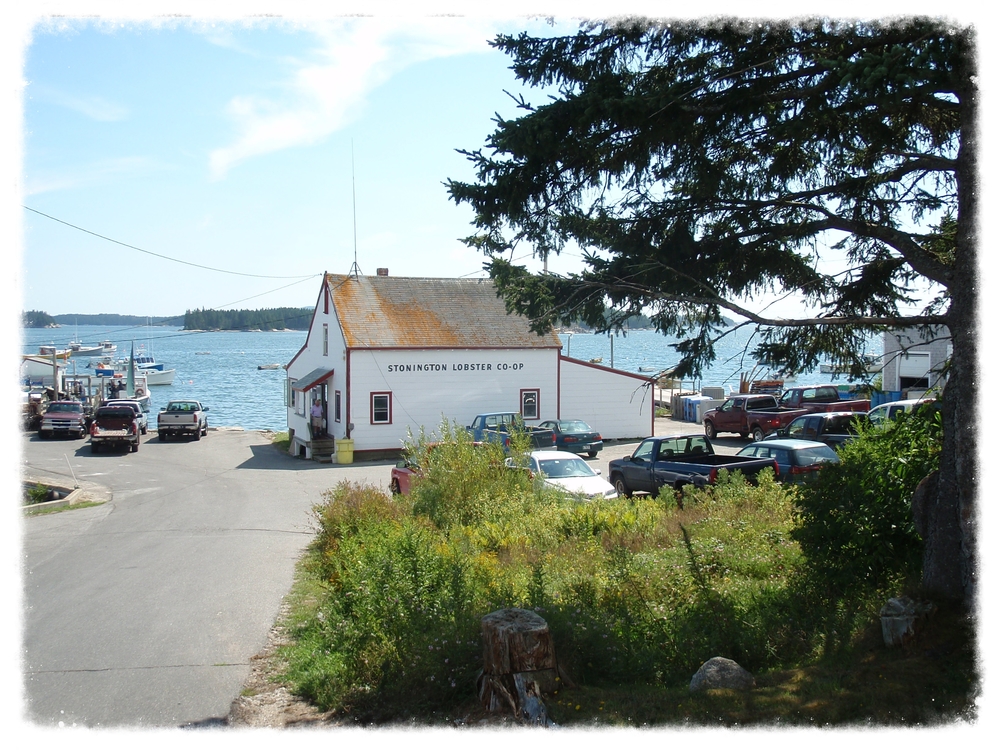 Seafood Undiscovered Maine University of Maine