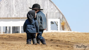 Amish Children in Aroostook