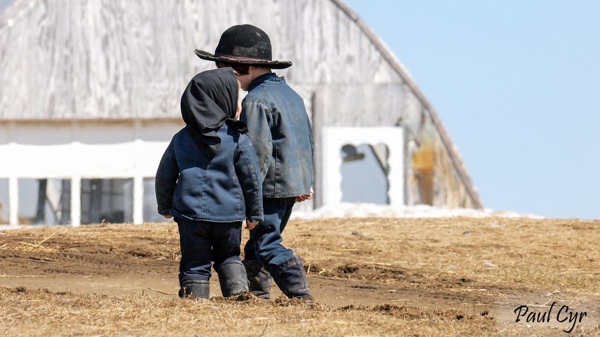 Amish Children in Aroostook