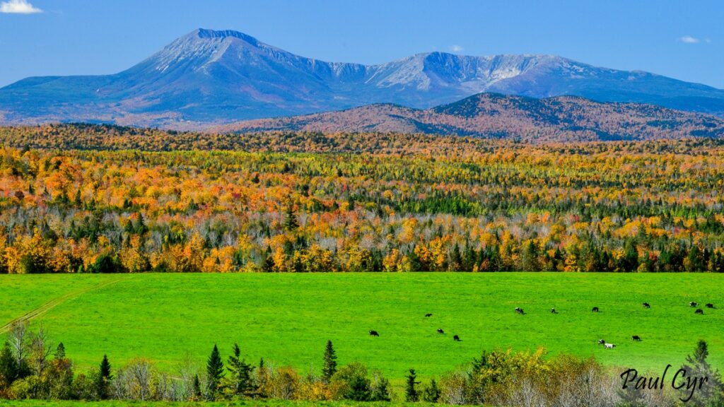 Patten Foliage & Mount Katahdin