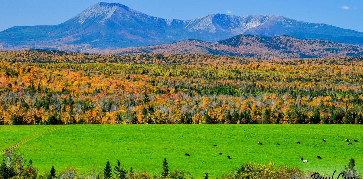 Patten Foliage & Mount Katahdin