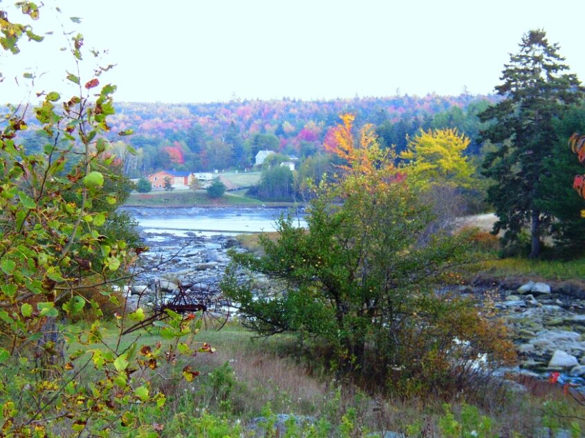 Surry Undiscovered Maine University of Maine