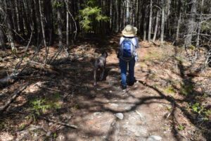 Taft point preserve trail
