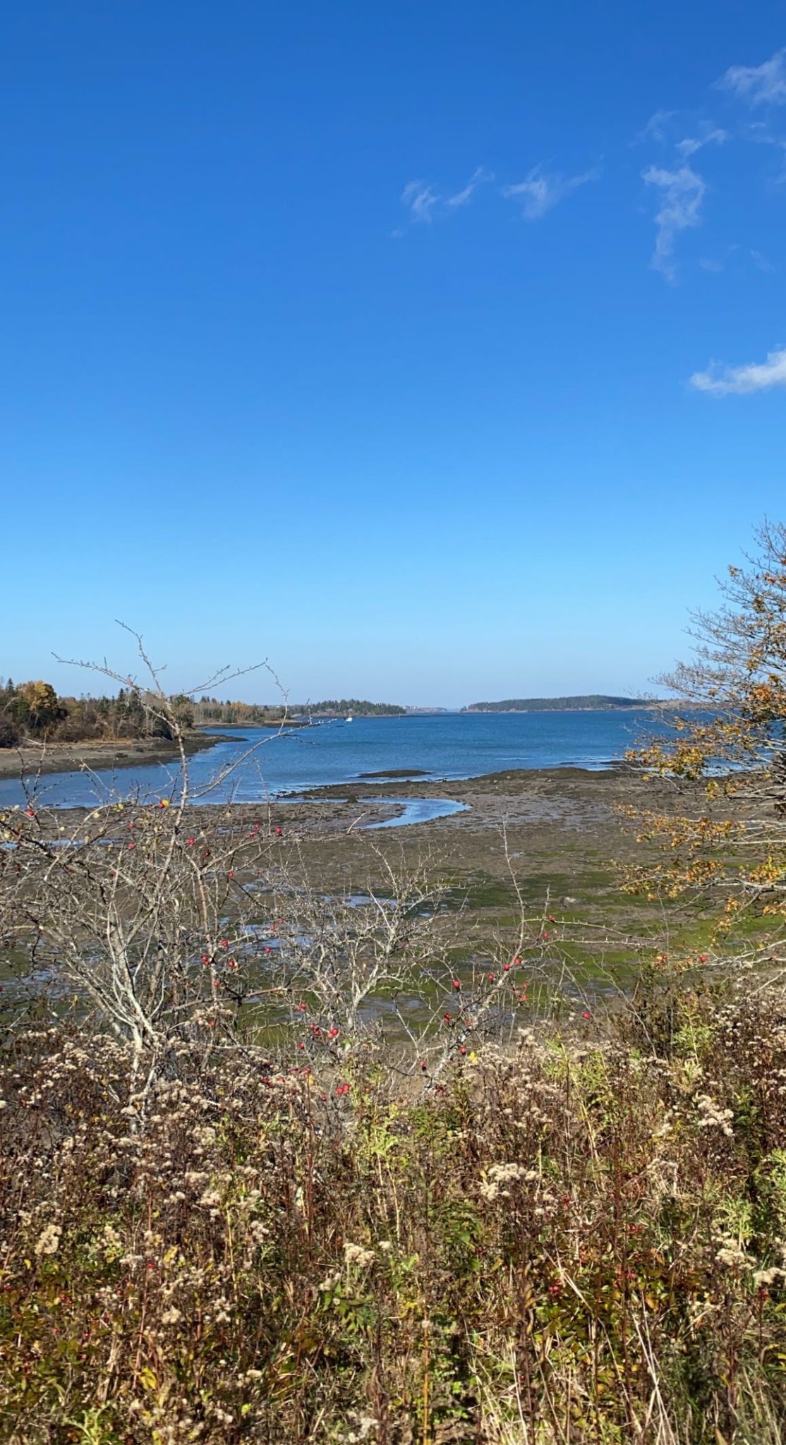 Cobscook Bay: Where Maine's Wild Coast Meets Tranquility