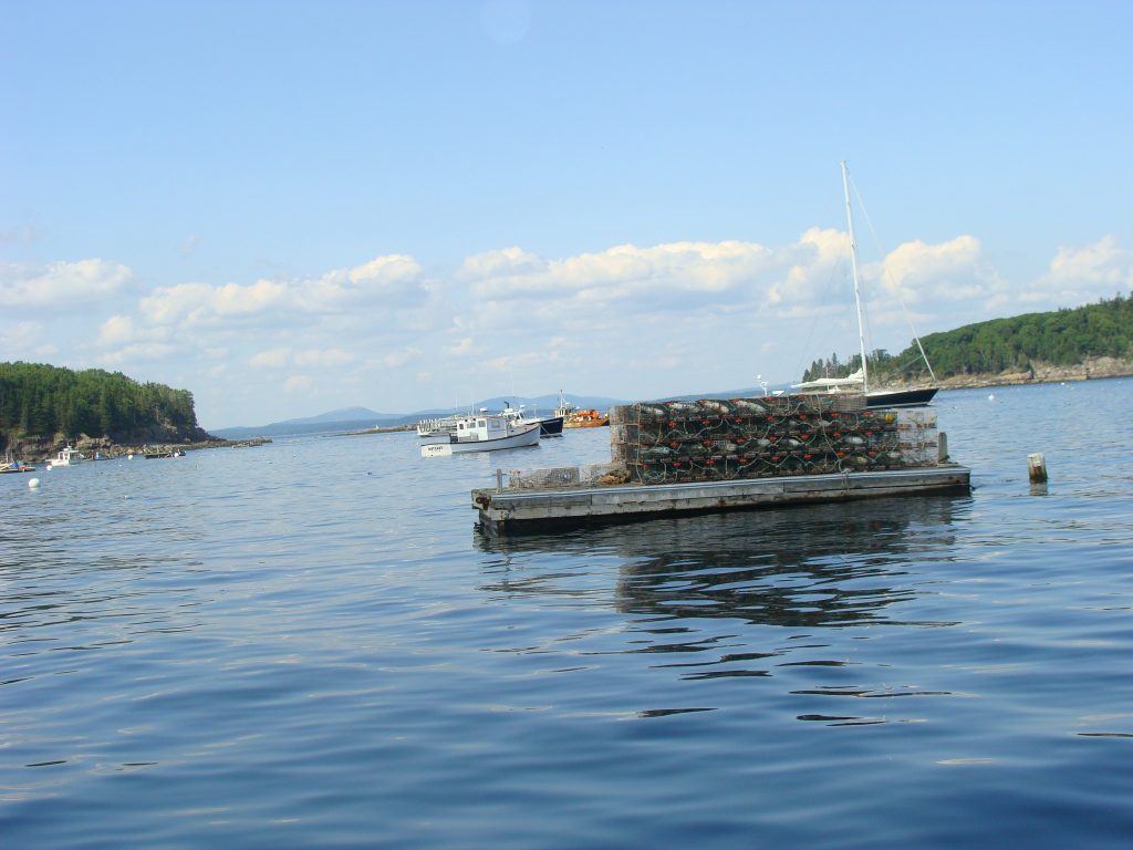 Acadia with lobster boat