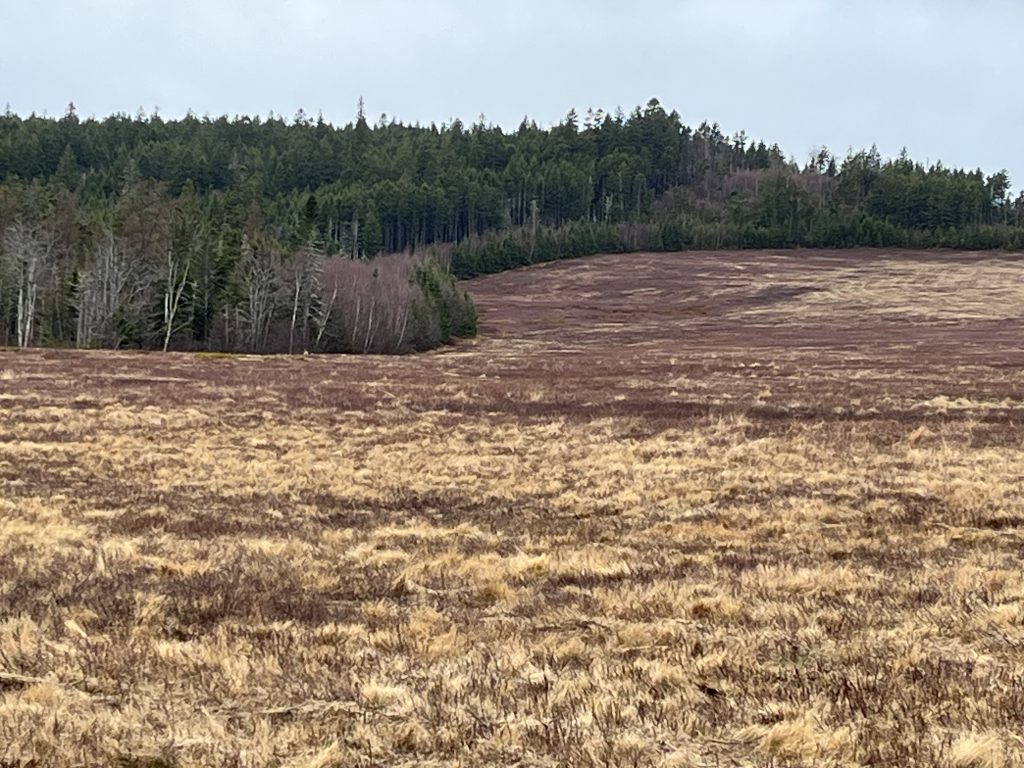 Welch Farm 5