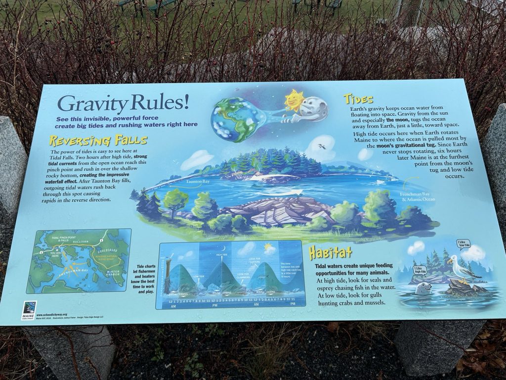 Tidal Falls Graphic