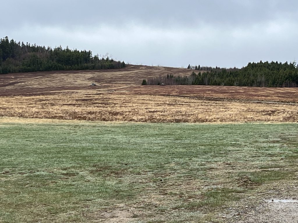 Welch Farm