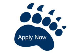 Blue bear paw with Apply Now