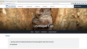 Levesque Lab screenshot