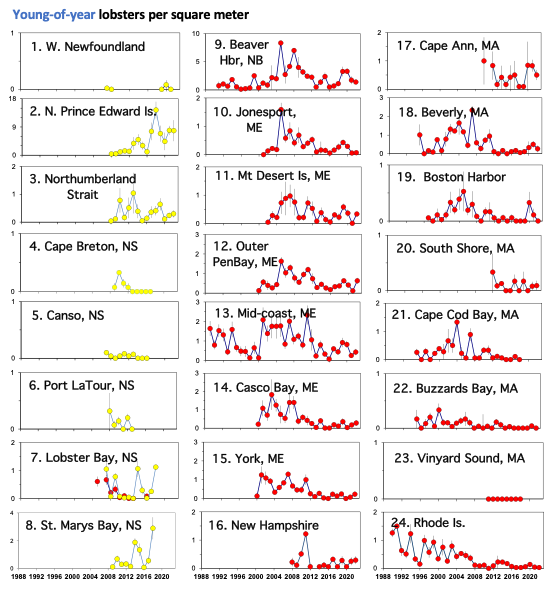 A series of 24 line charts depicting time series of young-of-year (YoY) lobster settlement at diver based suction and vessel-deployed bio-collector sampling locations.