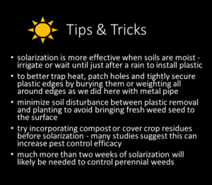 tips and tricks for weed ecology