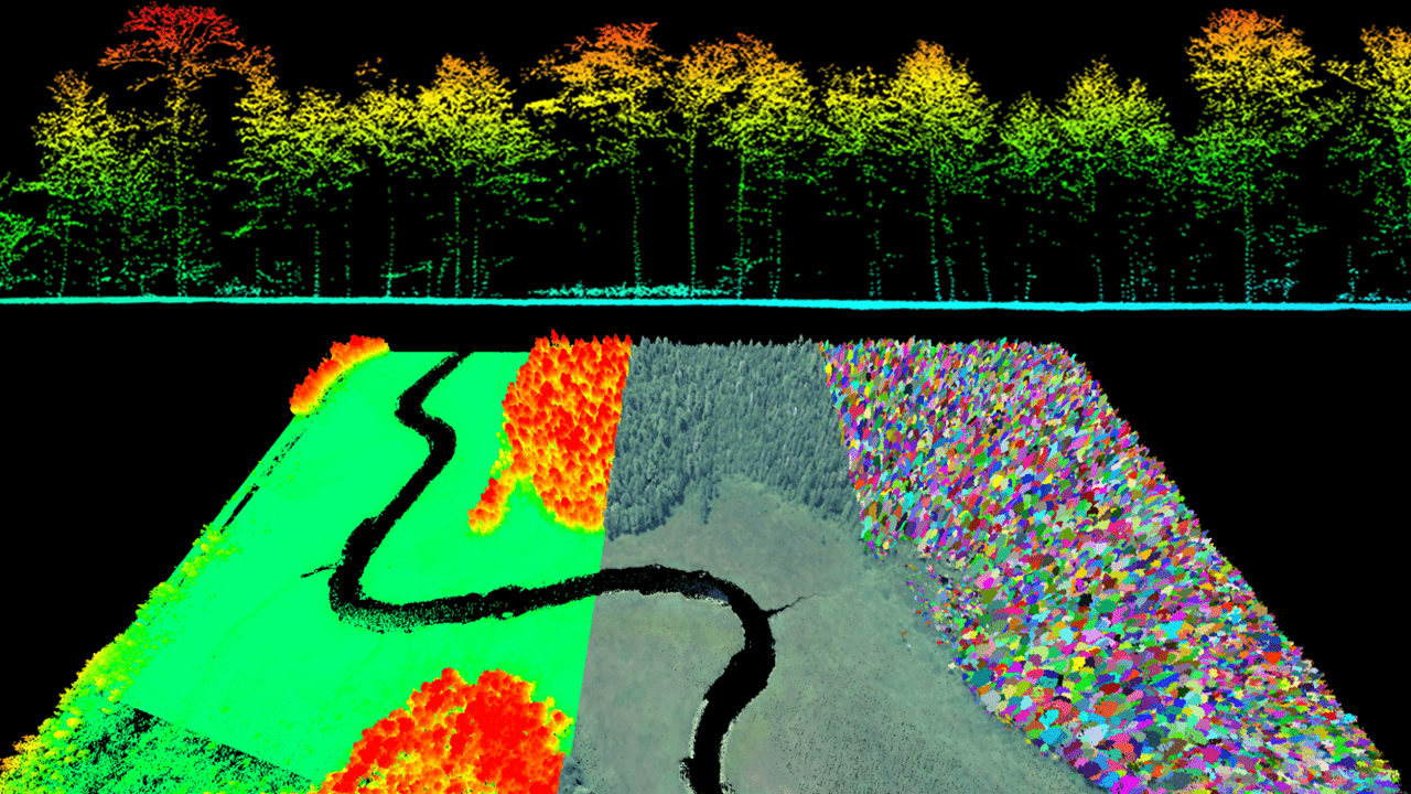 Example of a normalized lidar point cloud of a forest, and related derived datasets