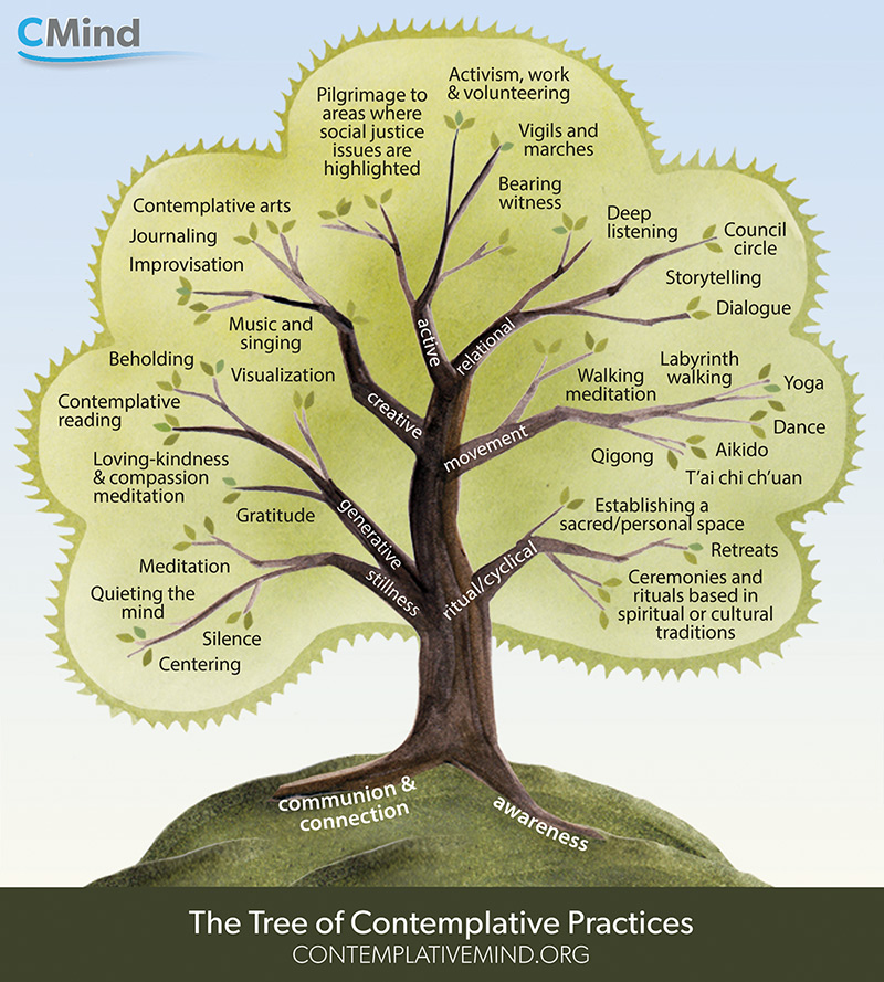 Dinner and Dialogue topic: The Tree of Contemplative Practices. This is a picture of the tree.