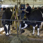 students in dairy barn