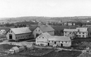 University of Maine campus farm 1890s