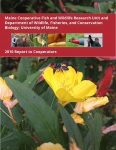 2016 Report Cover