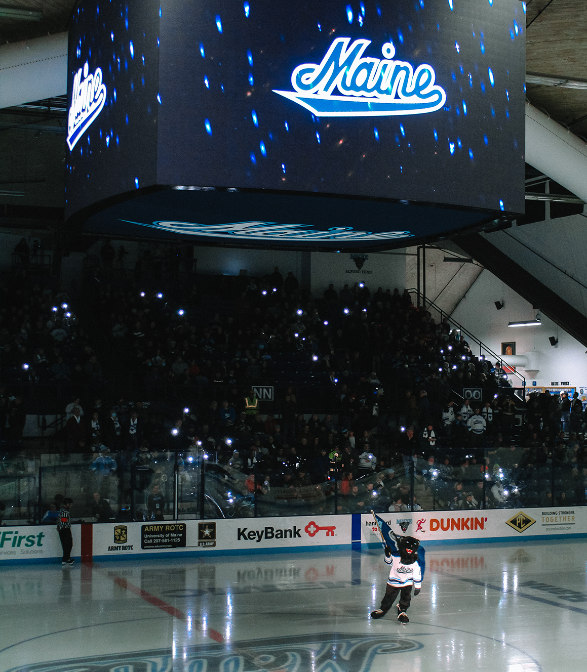 A photo of a hockey game