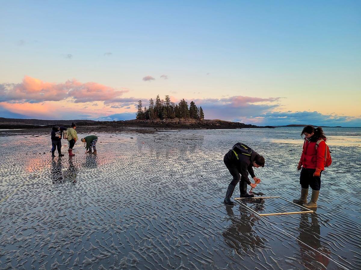 A photo of four people in a marine biology class on Maine's coast