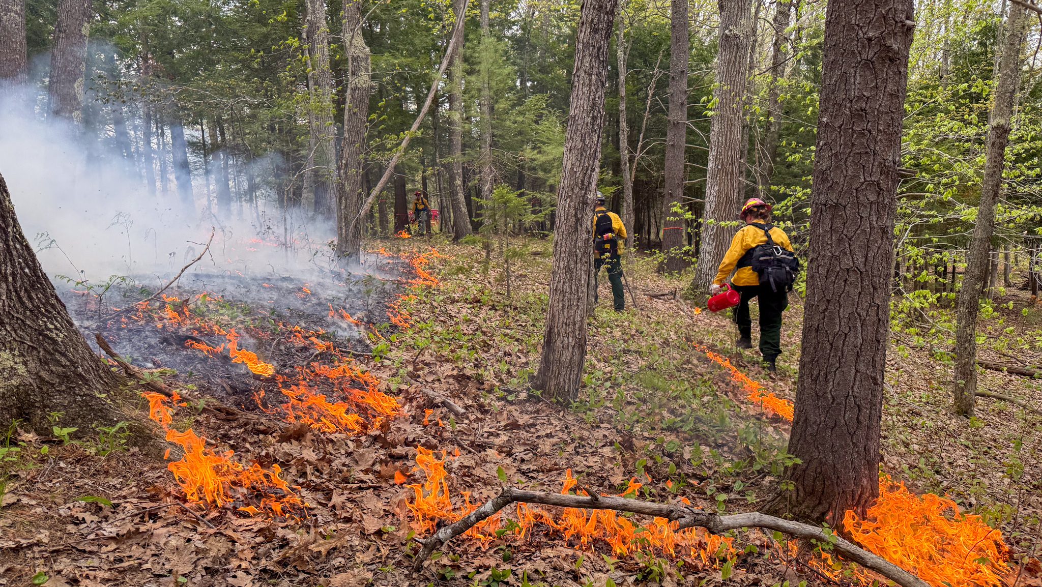 A photo of student doing a controlled burn in Old Town